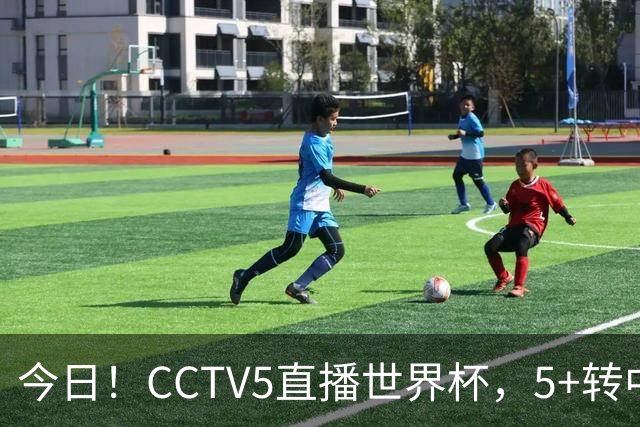 今日！CCTV5直播世界杯，5+转中国男篮VS日本+国乒孙颖莎和王楚钦出战+温网，网络转中超+F1